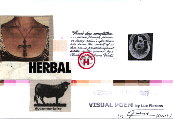 Luc Fierens collage