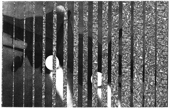 Mark Wilson and Phyllis McGibbon