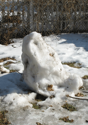 Mr. Snowman Jr.
