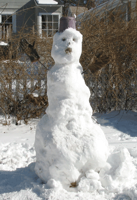 Mr. Snowman Jr.