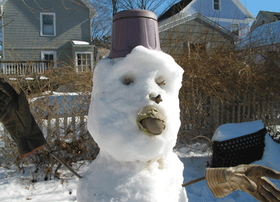 Mr. Snowman Jr.